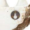 imageCreative CoOp Decorative Resin Clam Wall Bowl Beige