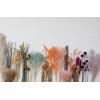 imageCreative CoOp Dried Natural Babys Breath Bunch Multicolor Set of 4