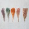 imageCreative CoOp Dried Natural Babys Breath Bunch Multicolor Set of 4