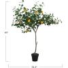 imageCreative CoOp Faux Lemon Tree in Plastic Pot Green