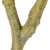 imageCreative CoOp Faux Lemon Tree in Plastic Pot Green