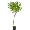 imageCreative CoOp Faux Lemon Tree in Plastic Pot Green
