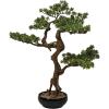 imageCreative CoOp Faux Star Leaved Bonsai Tree in Plastic Pot with Pebbles Green