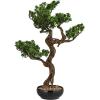imageCreative CoOp Faux Star Leaved Bonsai Tree in Plastic Pot with Pebbles Green