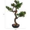 imageCreative CoOp Faux Star Leaved Bonsai Tree in Plastic Pot with Pebbles Green