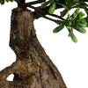 imageCreative CoOp Faux Star Leaved Bonsai Tree in Plastic Pot with Pebbles Green