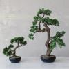 imageCreative CoOp Faux Star Leaved Bonsai Tree in Plastic Pot with Pebbles Green