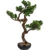 imageCreative CoOp Faux Star Leaved Bonsai Tree in Plastic Pot with Pebbles Green