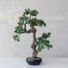 imageCreative CoOp Faux Star Leaved Bonsai Tree in Plastic Pot with Pebbles Green