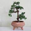 imageCreative CoOp Faux Star Leaved Bonsai Tree in Plastic Pot with Pebbles Green