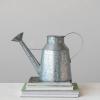 imageCreative CoOp Galvanized Metal Watering Can