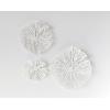 imageCreative CoOp Handmade White Coral Shaped Paper ampamp Metal Wall Dcor Set of 3 Sizes