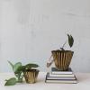 imageCreative CoOp Pleated Metal Vase Antique Brass FinishBrass