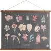 imageCreative CoOp Scientific Botanicals Linen ampamp Wood Scroll Wall Poster