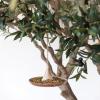 imageCreative CoOp Stoneware Bird Feeder with Jute Hanger Tan