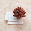 imageCreative CoOp Stoneware Coral Shaped Vase with Crackle Glaze Coral