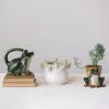 imageCreative CoOp Stoneware Frog Watering Green Pitcher