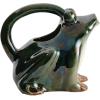 imageCreative CoOp Stoneware Frog Watering Green Pitcher