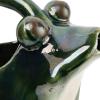 imageCreative CoOp Stoneware Frog Watering Green Pitcher