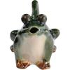 imageCreative CoOp Stoneware Frog Watering Green Pitcher