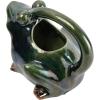 imageCreative CoOp Stoneware Frog Watering Green Pitcher