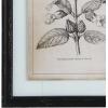imageCreative CoOp Wood Framed Wall Dcor with Floral Images Set of 4 Designs