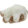 imageCreative CoOp Decorative Resin Clam Wall Bowl Beige