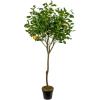 imageCreative CoOp Faux Lemon Tree in Plastic Pot Green