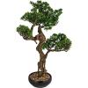 imageCreative CoOp Faux Star Leaved Bonsai Tree in Plastic Pot with Pebbles Green
