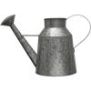 imageCreative CoOp Galvanized Metal Watering Can