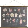imageCreative CoOp Scientific Botanicals Linen ampamp Wood Scroll Wall Poster