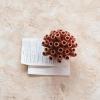 imageCreative CoOp Stoneware Coral Shaped Vase with Crackle Glaze Coral