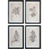 imageCreative CoOp Wood Framed Wall Dcor with Floral Images Set of 4 Designs