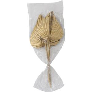 imageCreative CoOp Natural Sun Cut Palm Bunch in Gold Finish Dried Florals 11quot L x 3quot W x 30quot H WhiteWhite