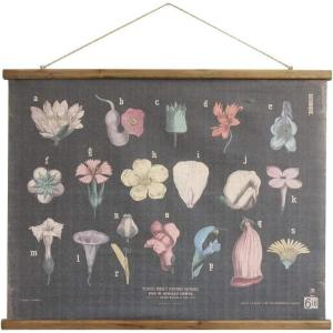 imageCreative CoOp Scientific Botanicals Linen ampamp Wood Scroll Wall Poster