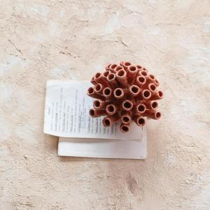 imageCreative CoOp Stoneware Coral Shaped Vase with Crackle Glaze Coral