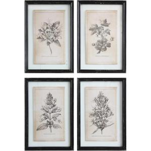 imageCreative CoOp Wood Framed Wall Dcor with Floral Images Set of 4 Designs