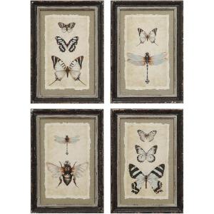 imageWood Framed Vintage Insect Prints Set of 4 Designs