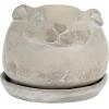 imageCreative CoOp Cement Rabbit Planter with Saucer Set of 2 Pieces
