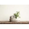 imageCreative CoOp Cement Rabbit Planter with Saucer Set of 2 Pieces