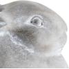 imageCreative CoOp Cement Rabbit Planter with Saucer Set of 2 Pieces