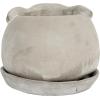 imageCreative CoOp Cement Rabbit Planter with Saucer Set of 2 Pieces