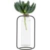 imageCreative CoOp Clear Glass Vase in Black Metal Stand