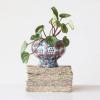 imageCreative CoOp Decorative Printed TerraCotta Footed Planter and Crackle Glaze Multicolor