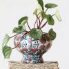 imageCreative CoOp Decorative Printed TerraCotta Footed Planter and Crackle Glaze Multicolor
