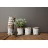 imageCreative CoOp Distressed Metal Pot with Pleated Saucer Set of 2 Pieces