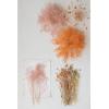 imageCreative CoOp Dried Natural Bunny Tail Grass Bunch Multicolor Set of 3