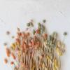 imageCreative CoOp Dried Natural Bunny Tail Grass Bunch Multicolor Set of 3