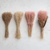 imageCreative CoOp Dried Natural Powderpuff Grass Bunch Multicolor Set of 3