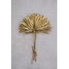 imageCreative CoOp Dried Natural Sun Cut Palm Bunch in Gold Finish